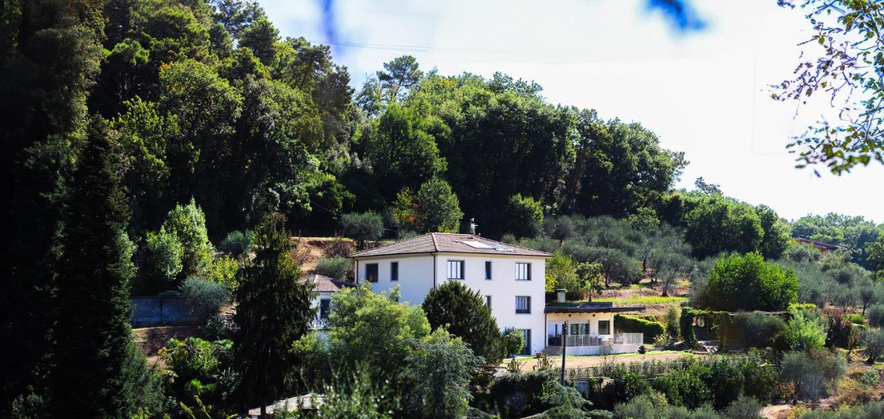 Agriturismo Terra Volonteri Montecatini Terme Exterior photo