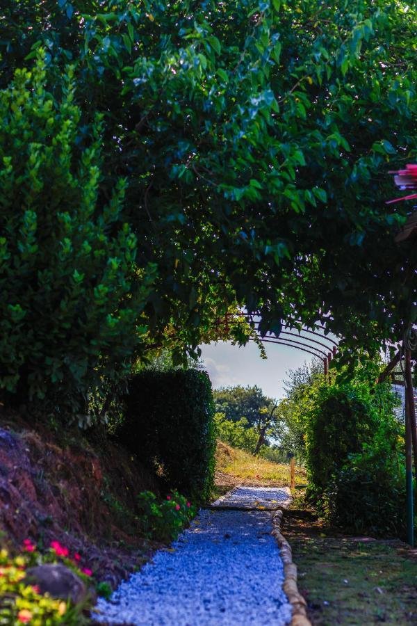 Agriturismo Terra Volonteri Montecatini Terme Exterior photo