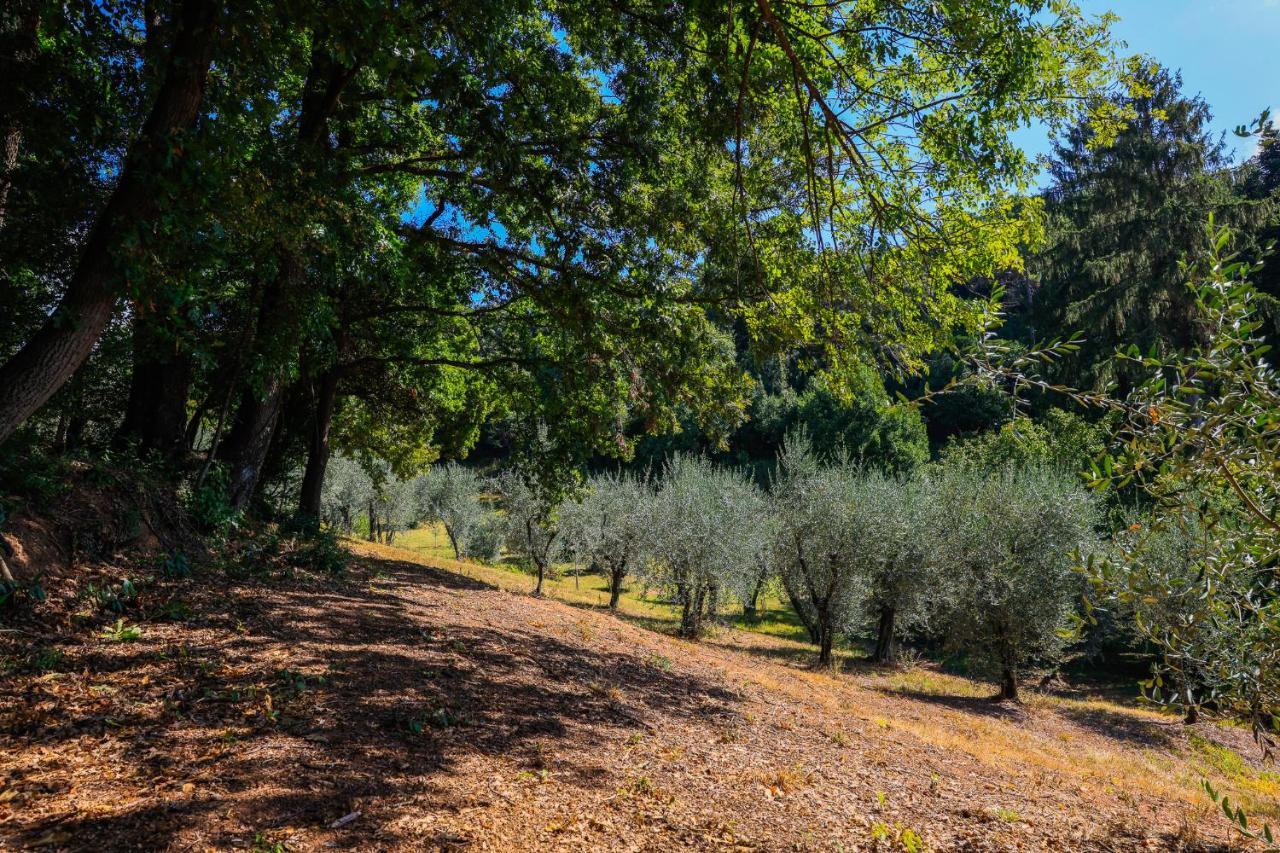 Agriturismo Terra Volonteri Montecatini Terme Exterior photo