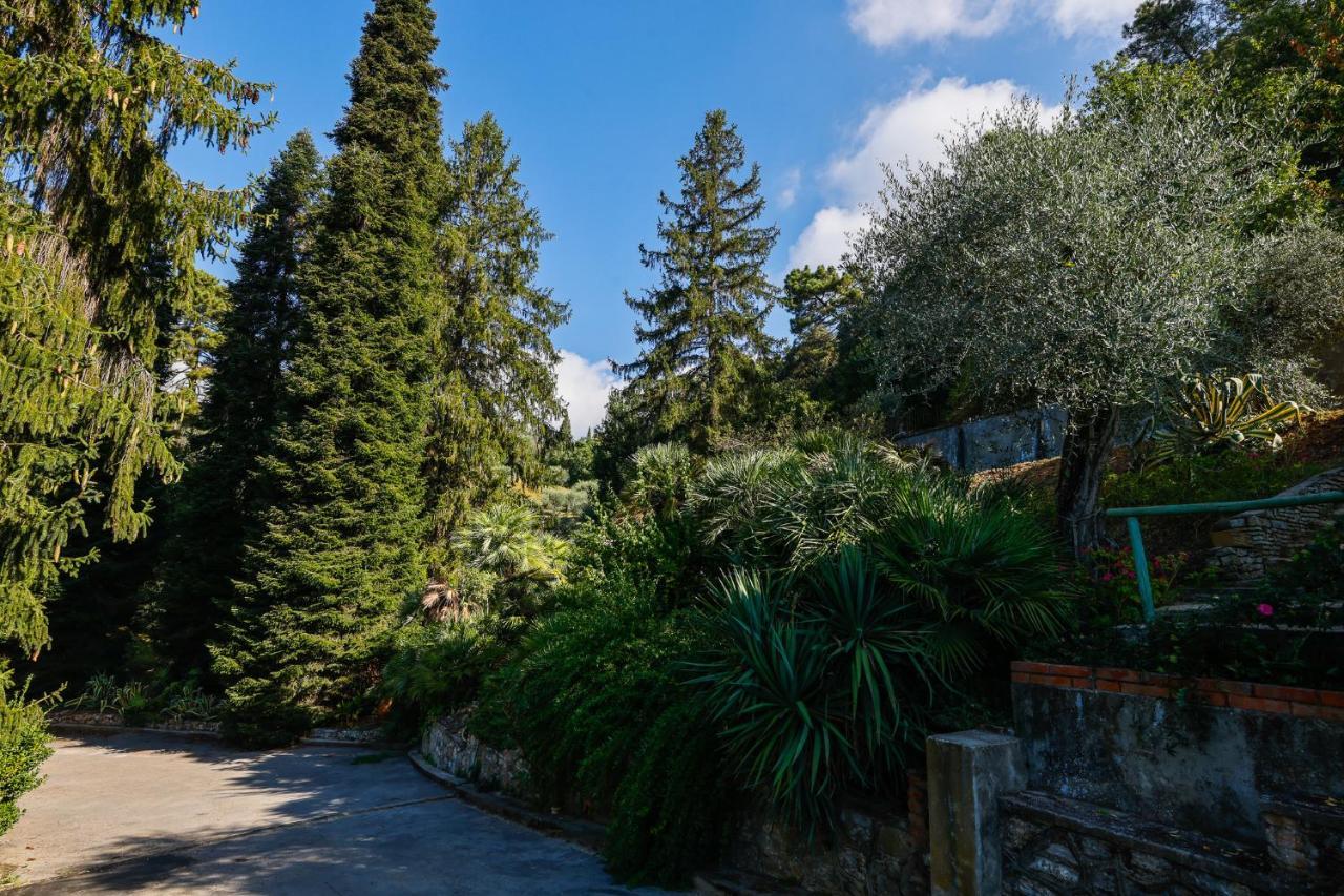 Agriturismo Terra Volonteri Montecatini Terme Exterior photo