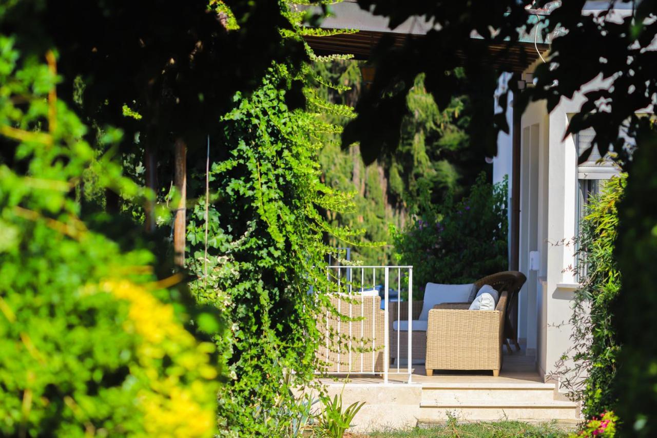 Agriturismo Terra Volonteri Montecatini Terme Exterior photo